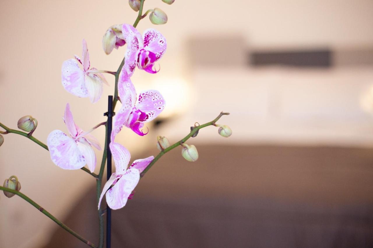 Casapaola B&B Rooms アチレアーレ エクステリア 写真